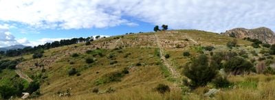 Panoramic View 1