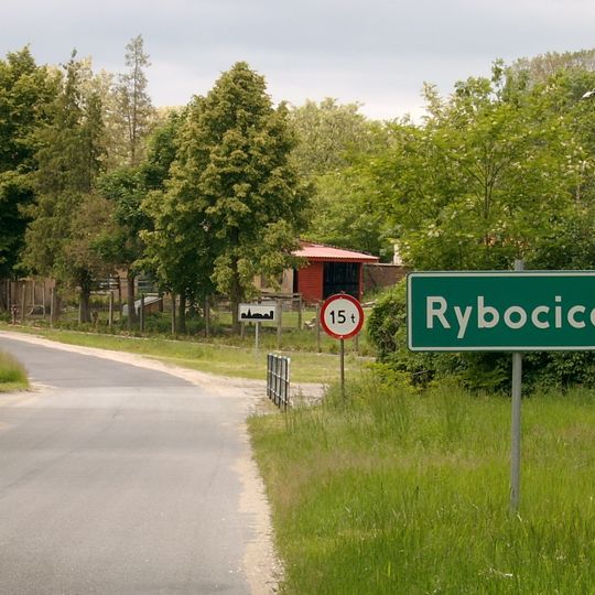 Rybocice