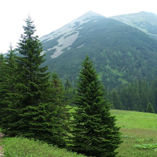 Suchy Wierch Tomanowy