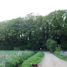 Küstenlandschaft zwischen Pelzerhaken und Rettin