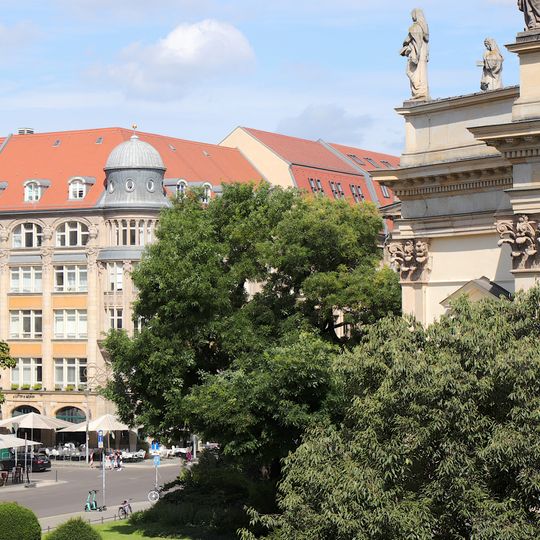 Japanese pagoda tree