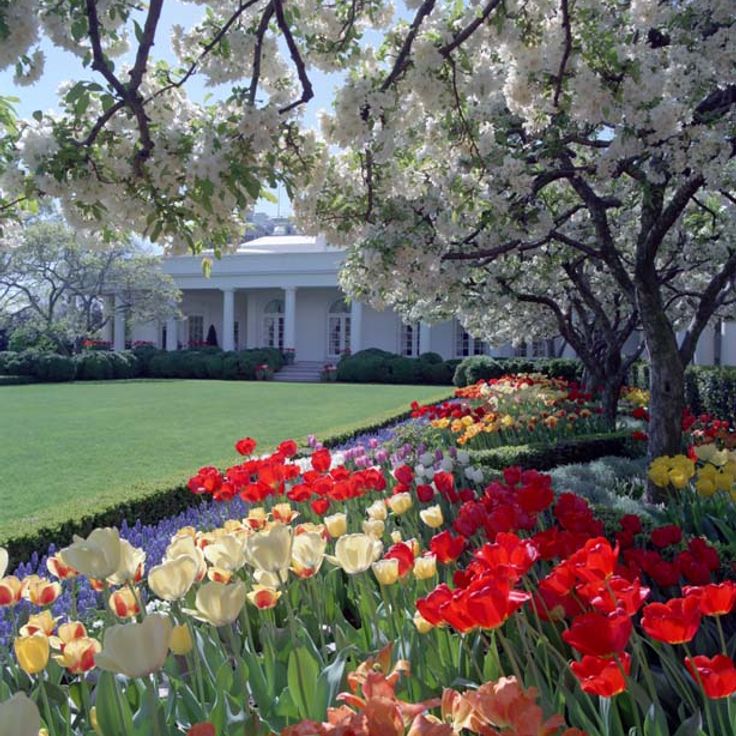 White House Rose Garden