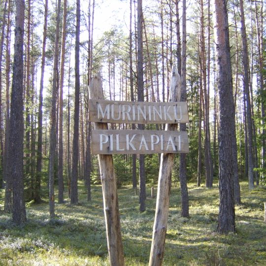 Mūrininkų pilkapiai