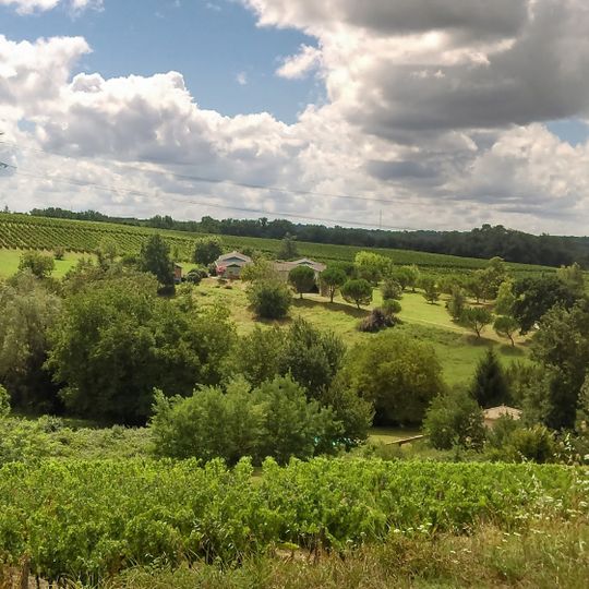 Vignoble Roche