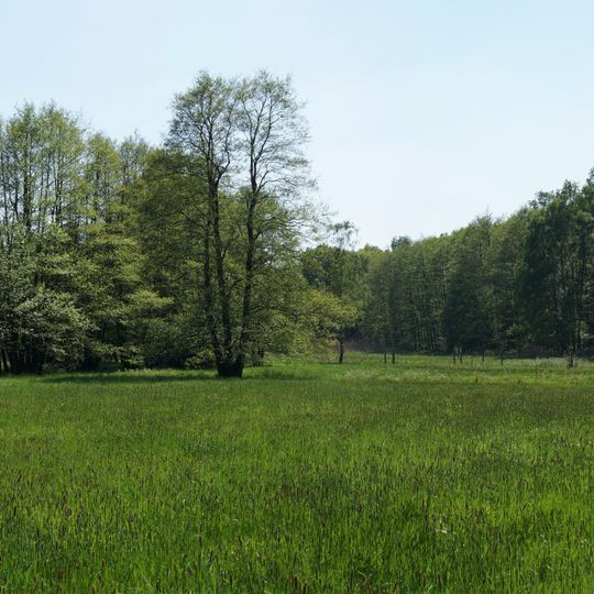 Talniederung im Barnstorfer Wald