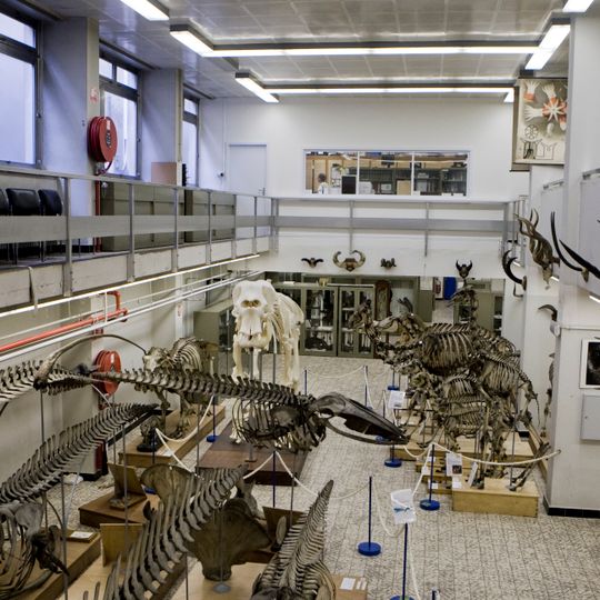 Museum voor Dierkunde