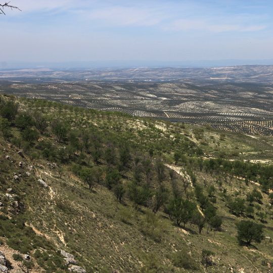 Paisaje Oleícola de Sierra Mágina