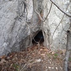 Csalamádé Cavities