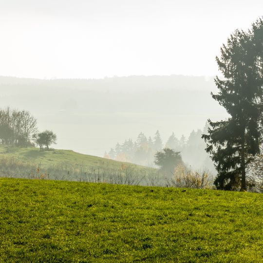LSG-Blankenheimer Kalkruecken Nordost
