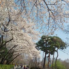 Yeongdeungpo Park