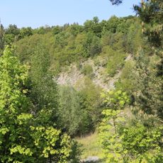 Ehemalige Tongrube bei Reichenschwand