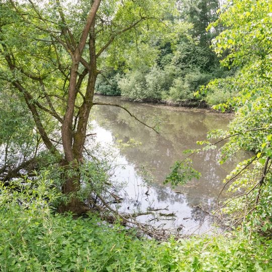 Talsystem des Königsbaches