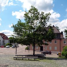 1 Stieleiche Marienstr./Dalk. Str.