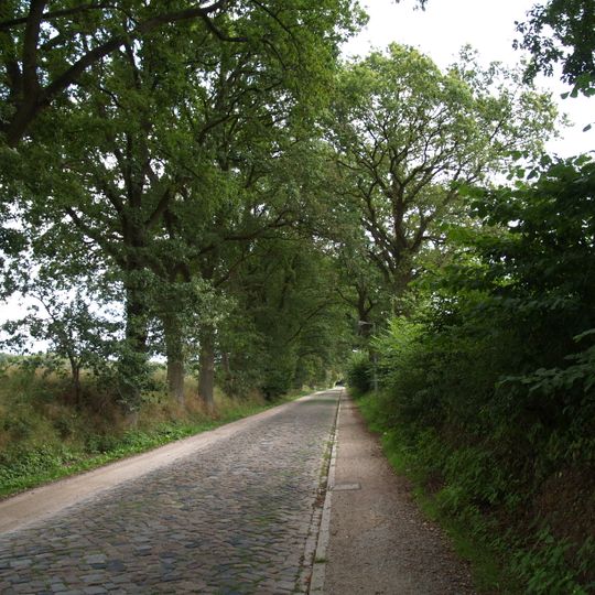 Straße zwischen Ohe und Sachsenwaldau