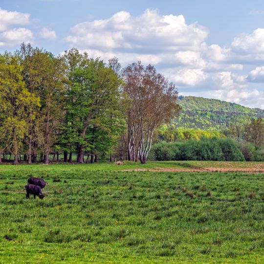 Landstuhler Bruch - Oberes Glantal