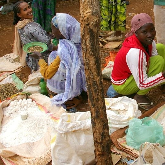 Regione Benisciangul-Gumus