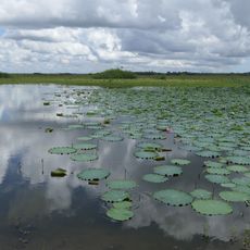 Ousteri Lake