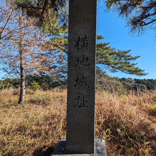 Château de Yokochishiro