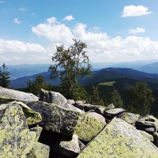 Явірник—Горган