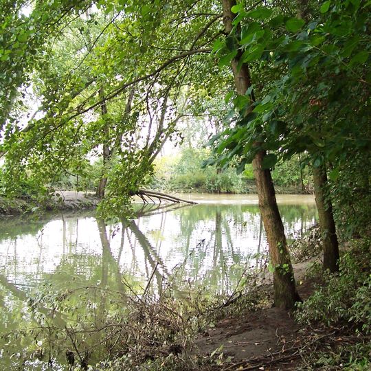 Oasi del Bosco di Montorfano