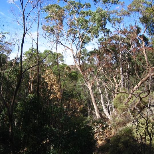 Werribee Gorge State Park
