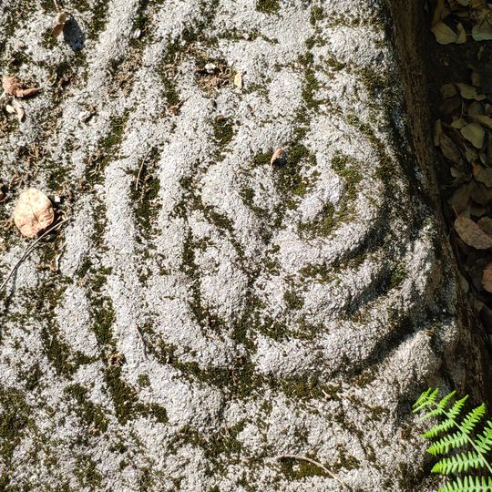 Gravuras Rupestres da Tapada de Ozão e do Monte da Lage