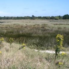 Marais de Mousterlin