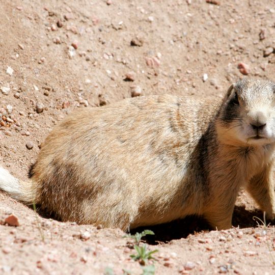 Hutton Lake Wildlife Refuge