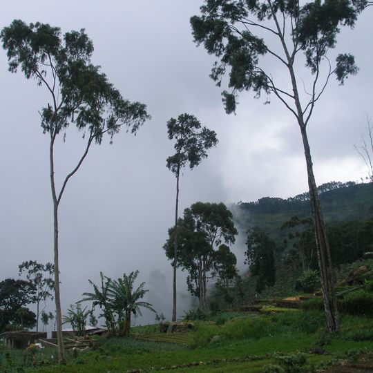 Haputale