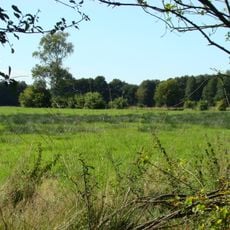 Große Heide bei Unterlüß und Kiehnmoor
