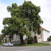 Vidice (Kutná Hora)