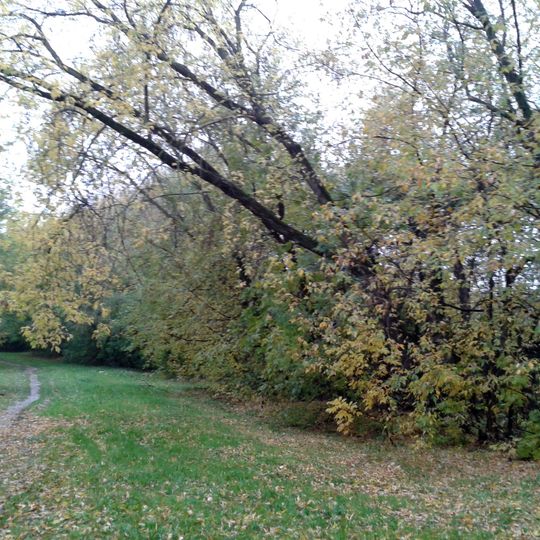 Setun's river valley Wildlife Sanctuary