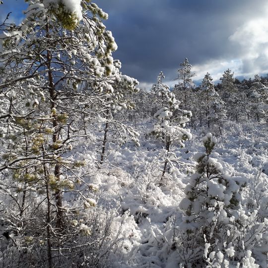 Mežole Nature Reserve