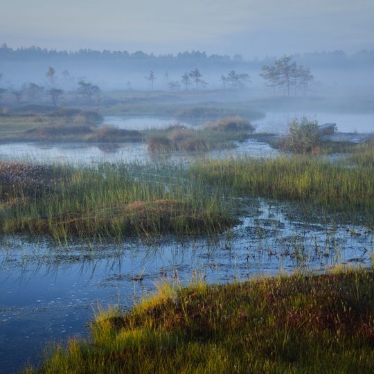 Riisa Bog