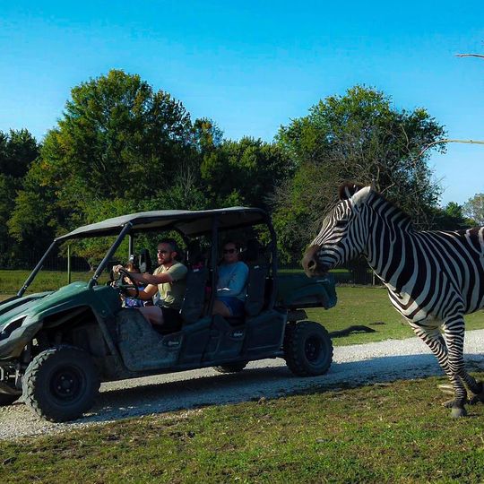 Aikman Wildlife Adventure