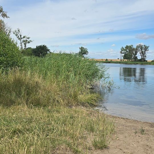 Badestelle Molkerteich