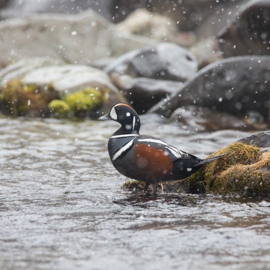 Karymchinsky hot springs