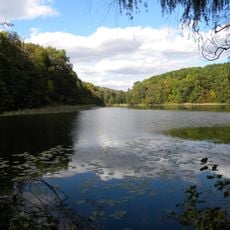 Cherneshchynskyi Reserve