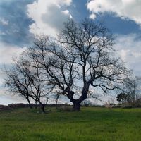 Nossa Senhora da Graça de Póvoa e Meadas