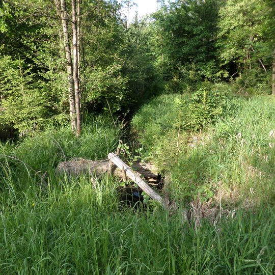 Behringersdorfer Forst