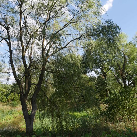 Manor house in Bosowice park