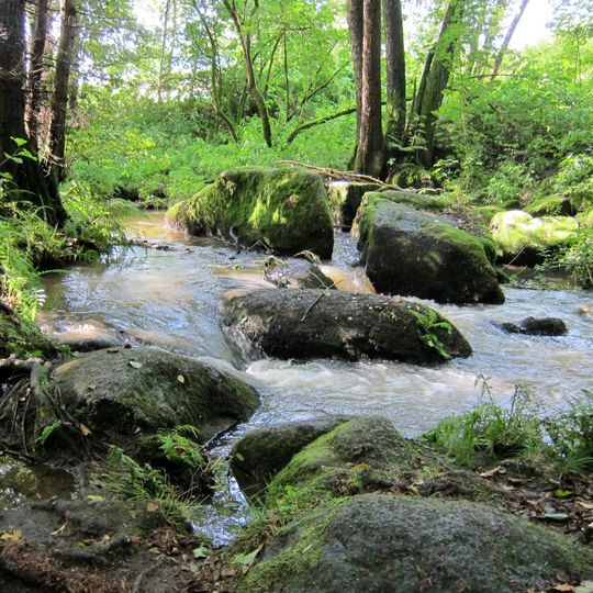 Bachtäler im Falkensteiner Vorwald