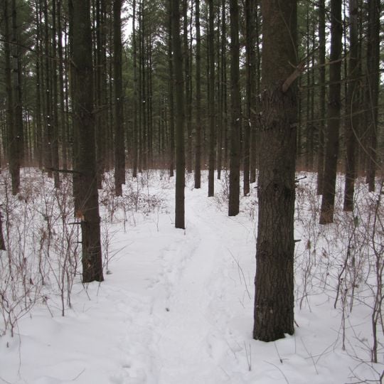 Loew Lake Unit, Kettle Moraine State Forest