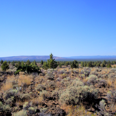 Oregon Desert Trail
