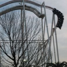 The Monster