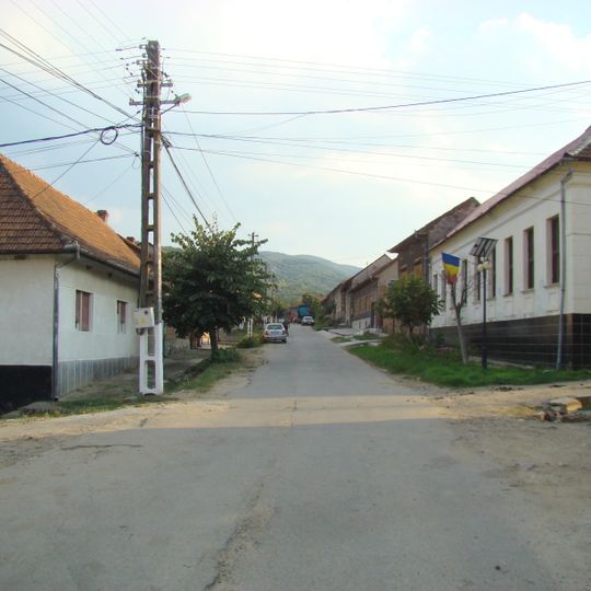 Lăpușnicel