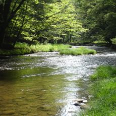 Allegheny National Forest