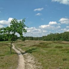 Boberger Niederung