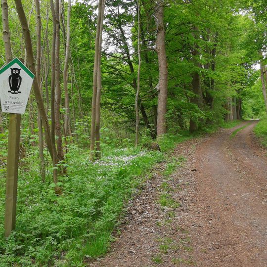 Stollensystem Büchenberg bei Elbingerode