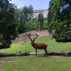 Wildpark Ortenburg
